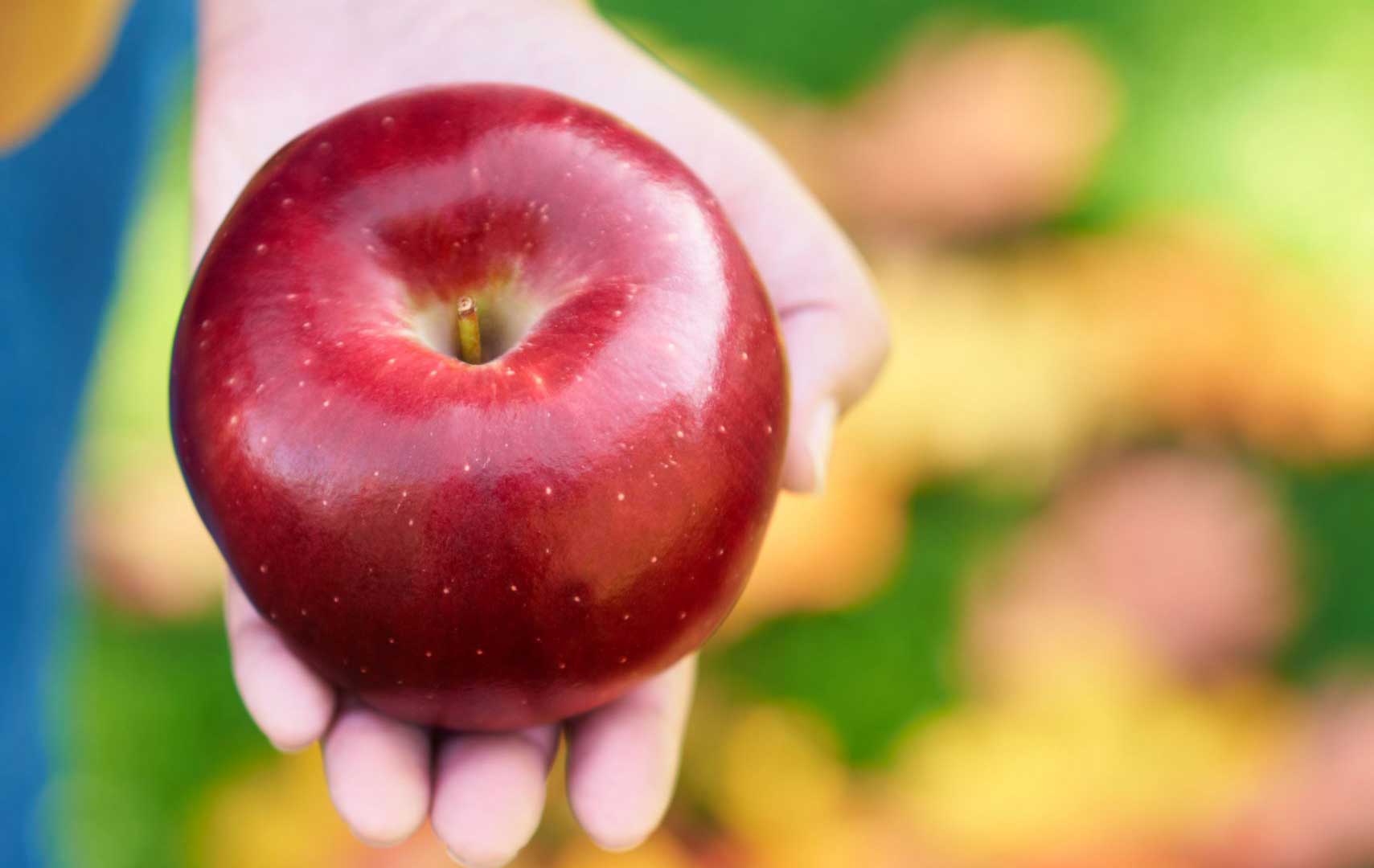 Why the Cosmic Crisp® apple is perfect for sweet and savoury delights